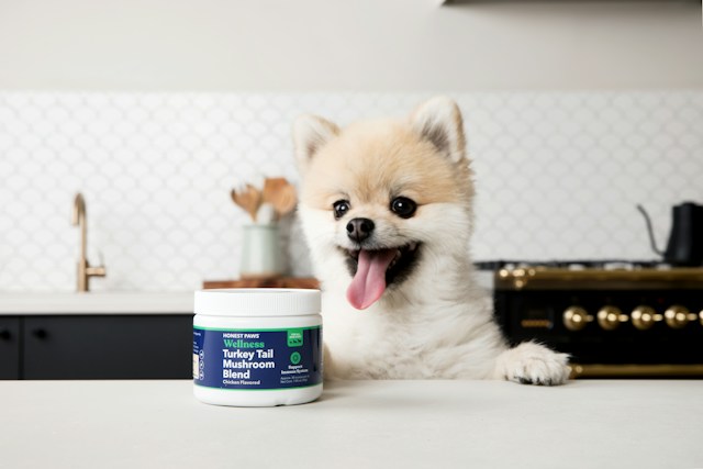 Pet food registration in China is crucial for ensuring the safety of pets and their owners