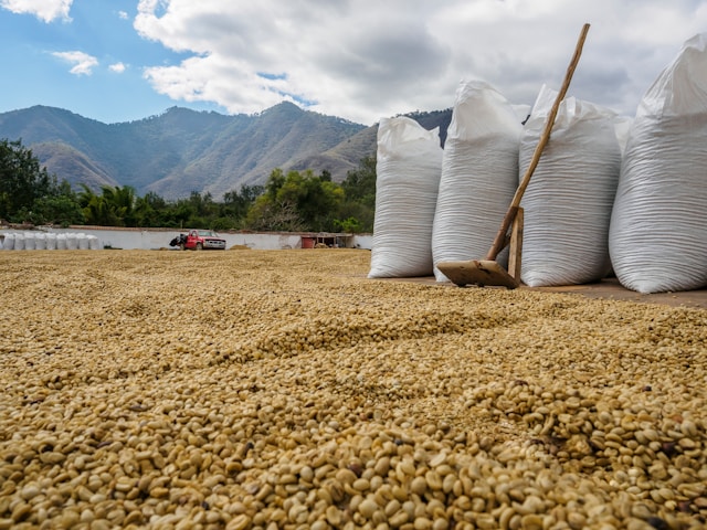 Compreender o processo de registo das matérias-primas alimentares na China Compreender o processo de registo das matérias-primas alimentares na China