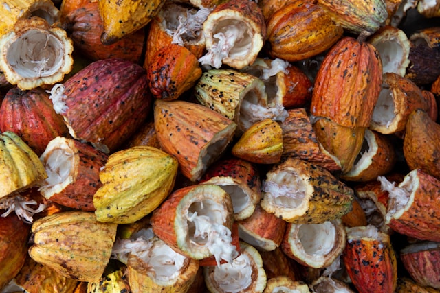 How Can Companies Accelerate Their Food Raw Material Registration in China? How Can Companies Accelerate Their Food Raw Material Registration in China?